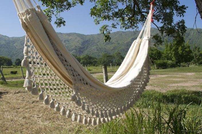 Poolside: A Collpuu With Hanging Tree